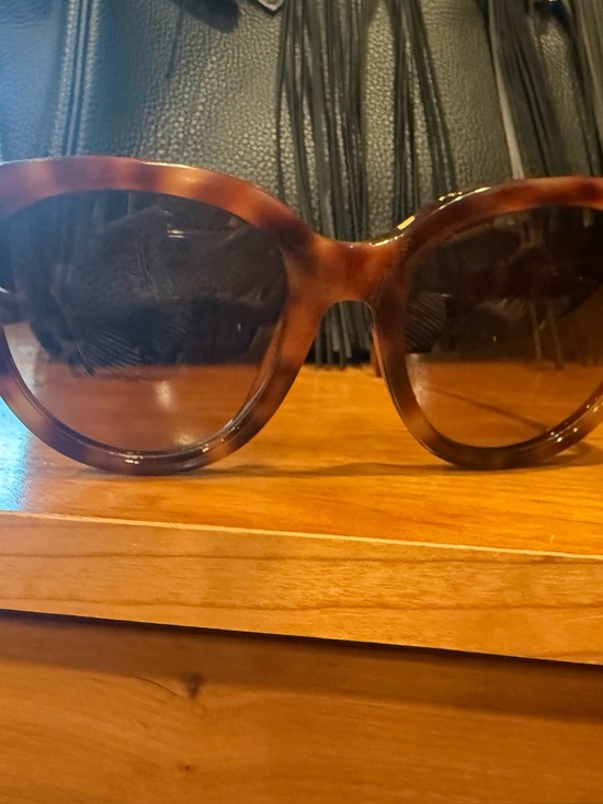 Celine Accessories - Celine Brown Tortoiseshell Oversized Women's Sunglasses